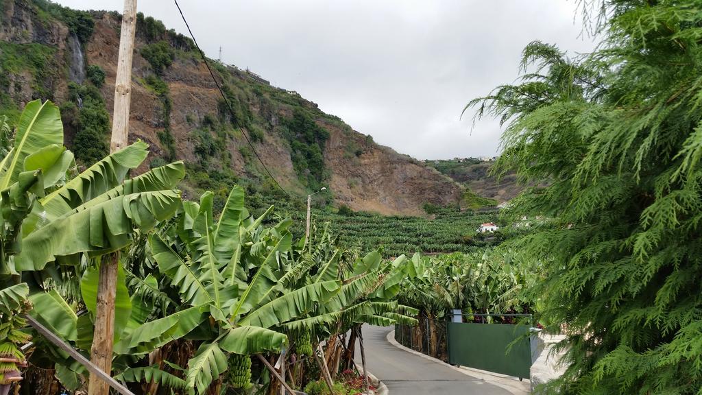 فندق بونتا دو سولفي  Banana House المظهر الخارجي الصورة