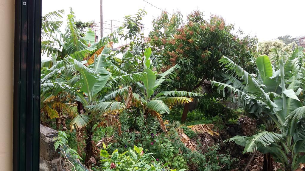 فندق بونتا دو سولفي  Banana House المظهر الخارجي الصورة